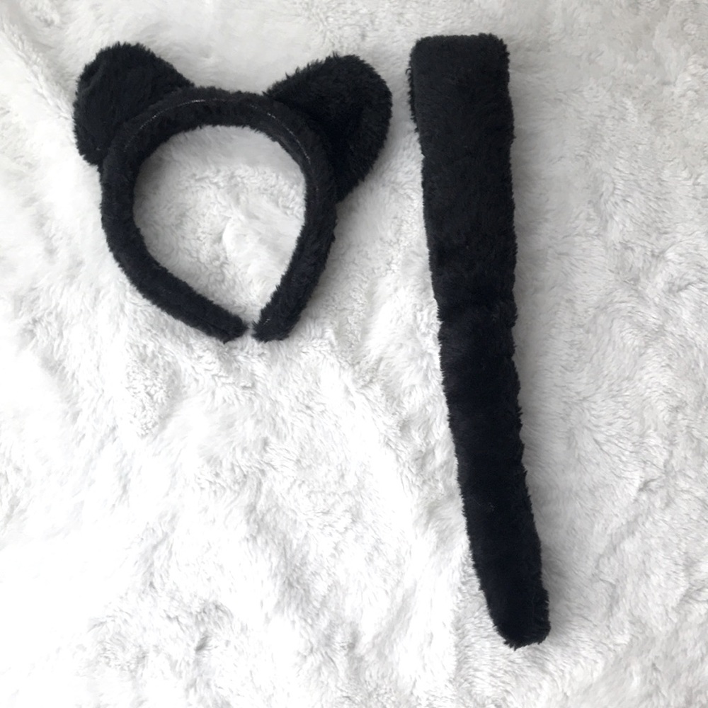 Mouse Ears and Tail